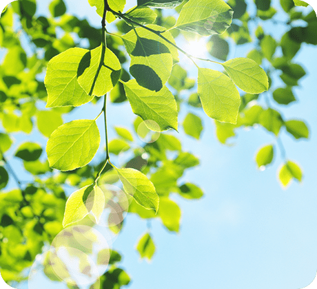 「得意なことや好きなこと」をご家族と一緒に見つけましょう